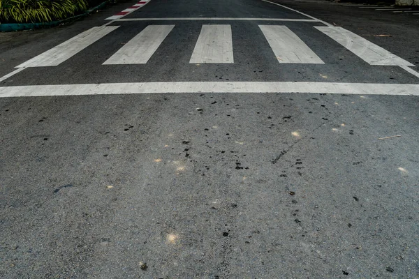 Perspectiva Del Paso Peatones Blanco Carretera Asfaltada — Foto de Stock