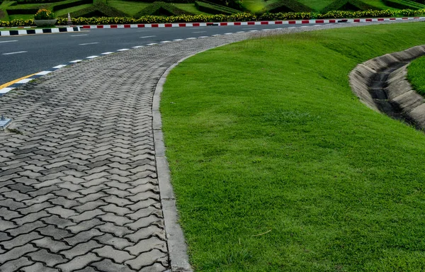 Betonsteinweg Mit Getrimmten Pflanzen Und Grünem Gras Park — Stockfoto