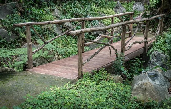 Petit Pont Bois Dans Jardin — Photo