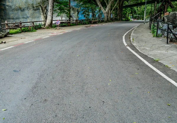 公園内のアスファルト道路の画像 — ストック写真