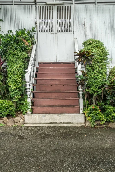 Escalier Bois Style Ancien Avec Des Plantes Vieille Porte Blanche — Photo