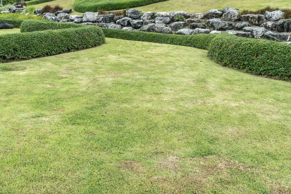 Prato Verde Con Piante Tagliate Roccia Nel Parco — Foto Stock