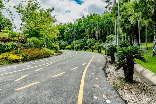 Bella Strada Asfaltata Con Alberi Verdi Nel Parco — Foto Stock