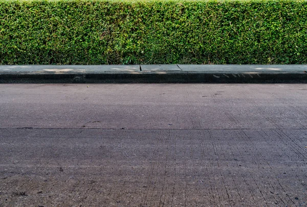 Cerca Sebe Verde Com Calçada Concreto Estrada Asfalto — Fotografia de Stock