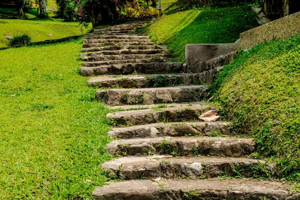 Escadaria Concreto Curva Envelhecida Com Grama Verde Parque — Fotografia de Stock