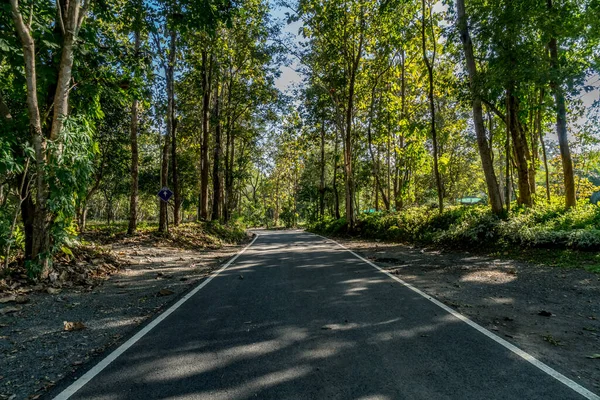 Estrada Asfalto Com Árvore Verde Campo Tailândia — Fotografia de Stock