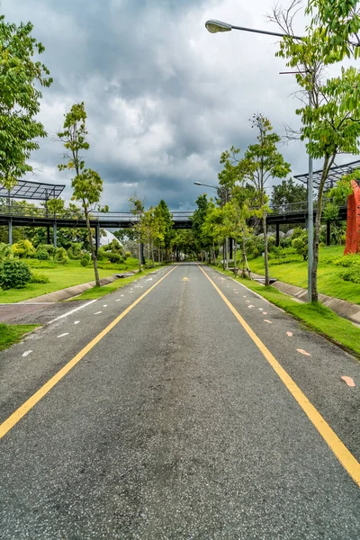 Bella Strada Asfaltata Con Alberi Verdi Nel Parco — Foto Stock