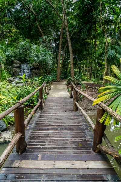 Pasarela Madera Parque — Foto de Stock