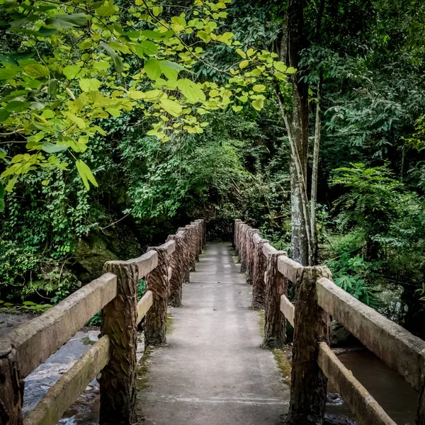 Concrete Footbridge Stream Green Forest — Stock Photo, Image