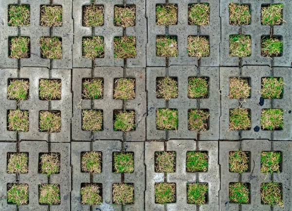 Concrete Block Floor Green Grass — Stock Photo, Image