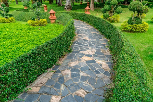 Betonsteinweg Mit Begrünten Pflanzen Park Stockbild