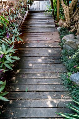 Yeşil bitkilerle ahşap yol