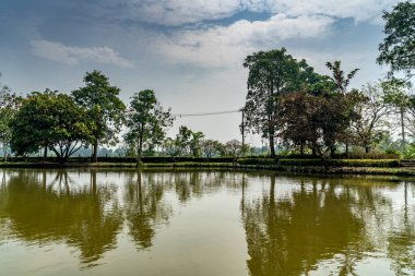 Yeşil gölü olan tropik yeşil ağaç
