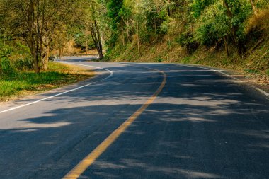 Parkta yeşil ağaçlı asfalt yol
