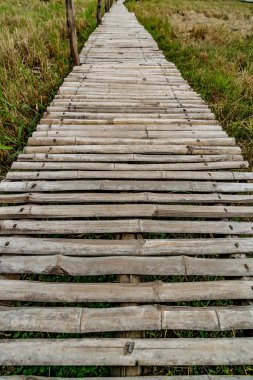 Tayland kırsalında Bambu patikası