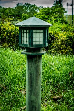 Bahçede yeşil yapraklar üzerinde kaldırım feneri