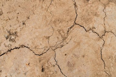 Çatlak kuru arazi dokusu arkaplanı