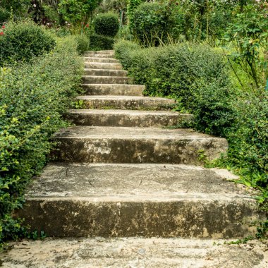 Yeşil budanmış bitkileri olan eski beton merdiven