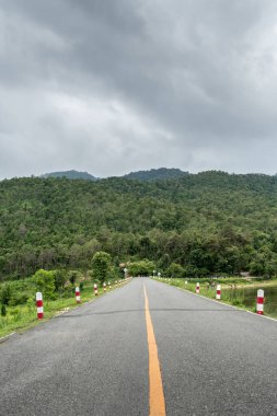 Sarı çizgili asfalt köy yolu