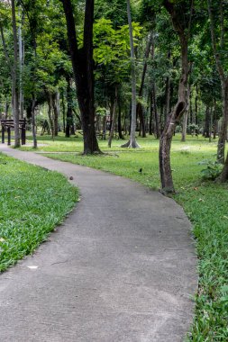 Parkın beton yolu