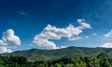 Beyaz bulut ve mavi gökyüzü ile yeşil dağ