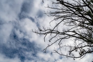 Bulutlu bir arkaplanda öldü