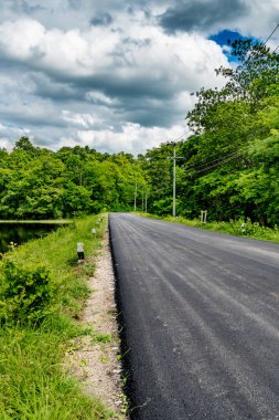 Yeşil tropikal ormanı ve kara bulutlu arka planı olan asfalt köy yolu