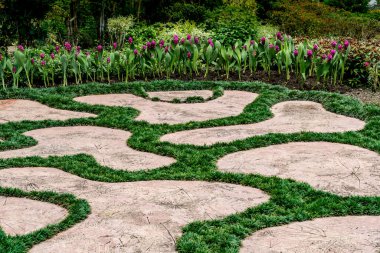 Parkta yeşil çimenler olan serbest beton yol