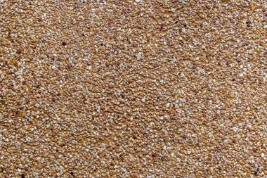 Küçük çakıl desenli çimento resmini kapat