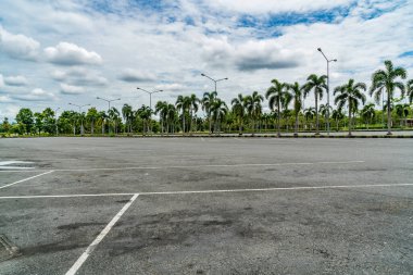 Yeşil palmiye ağaçları ve mavi gökyüzü arkaplanı olan boş bir otopark