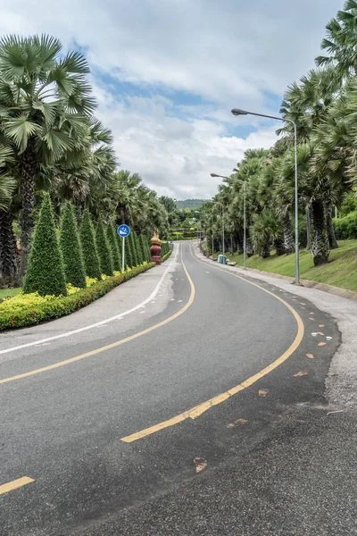 Camino Asfalto Parque — Foto de Stock