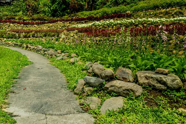 Caminho Concreto Com Flores Coloridas Jardim — Fotografia de Stock