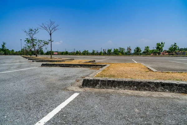 Asfalt yeşil ağaçlı boş otopark