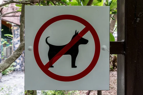 Nenhum Cão Permitido Sinal Poste Ferro — Fotografia de Stock