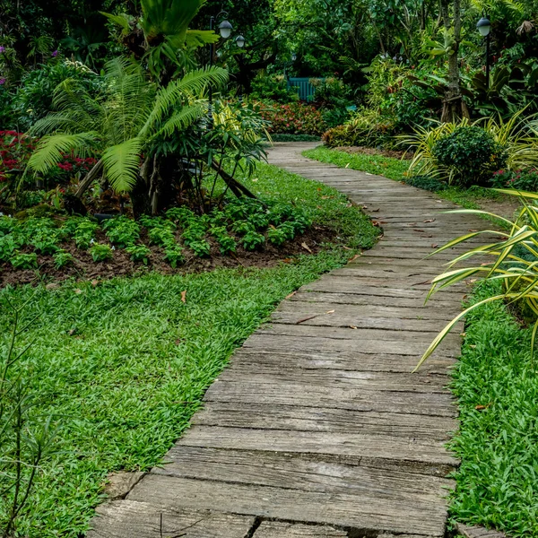 Bloco Concreto Estrada Com Plantas Verdes Parque — Fotografia de Stock