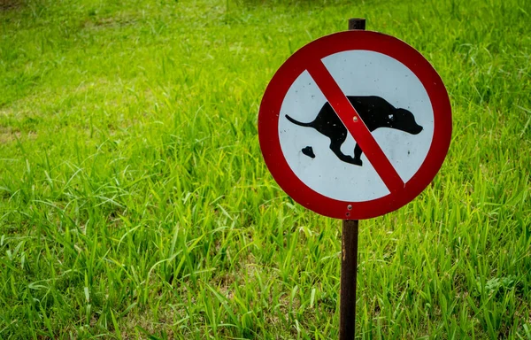 Não Permita Que Fezes Cão Assinem Parque — Fotografia de Stock