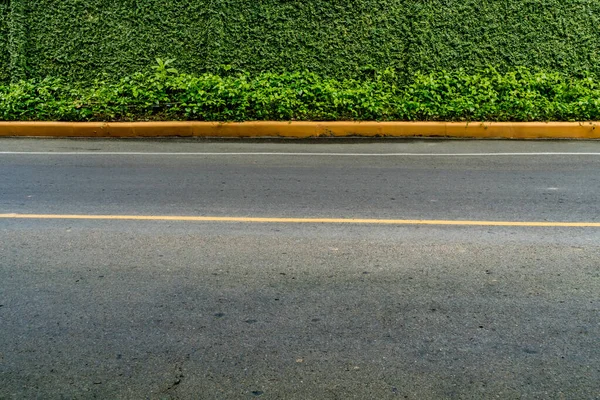 Recinzione Siepe Verde Strada Asfaltata — Foto Stock