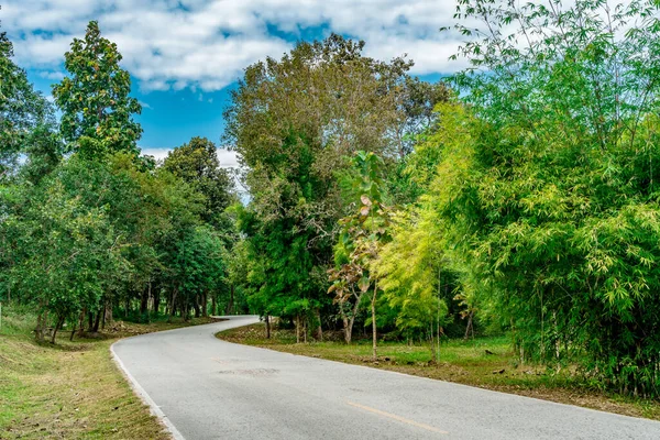 Strada Asfaltata Con Foresta Tropicale Verde Nella Campagna Della Thailandia — Foto Stock