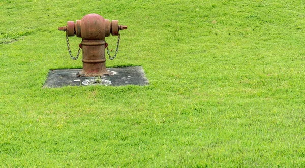 Old Red Fire Hydrant Green Lawn — Stock Photo, Image