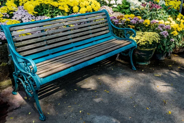 Park bench on concrete floor with colorful flowers in the park