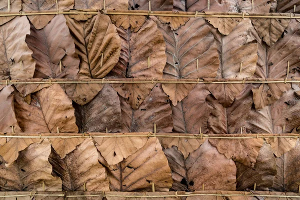 Сухие Листья Текстуры Крыши Фона — стоковое фото