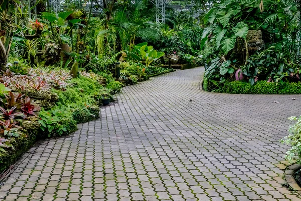 Camino Bloques Hormigón Parque — Foto de Stock