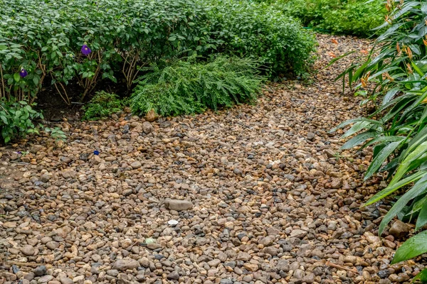 Sendero Grava Con Plantas Verdes Parque —  Fotos de Stock