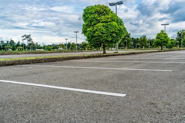 Asfalt yeşil ağaçlı boş otopark