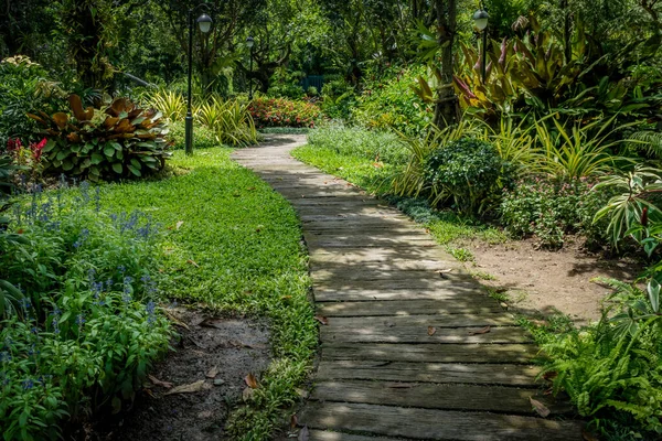 Vecchio Sentiero Legno Con Fiori Erba Verde — Foto Stock