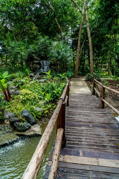 Pasarela Madera Parque — Foto de Stock