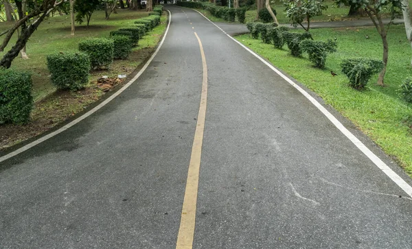 Asfalt Yolundaki Sarı Çizgi Yeşil Ağaçlar Parktaki Budanmış Çalılar — Stok fotoğraf