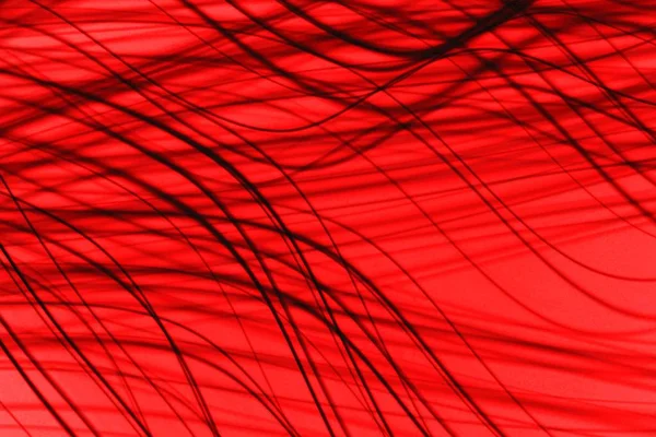 Lignes courbes sombres sur fond rouge, technologie moderne toile de fond illustration photo — Photo