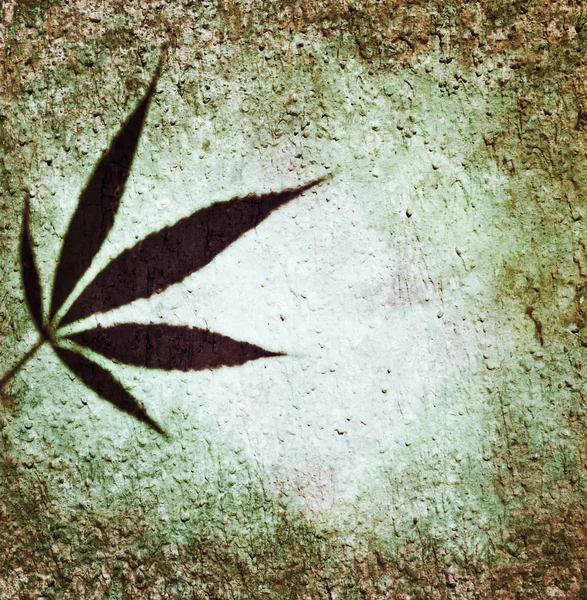 大麻叶剪影美丽的自然米色方形设计背景 — 图库照片