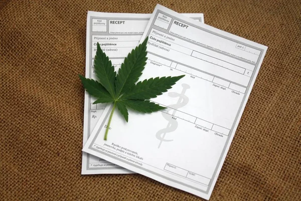 Czech medical recipe prescription and marijuana healing cannabis leaf, medical marijuana concept.